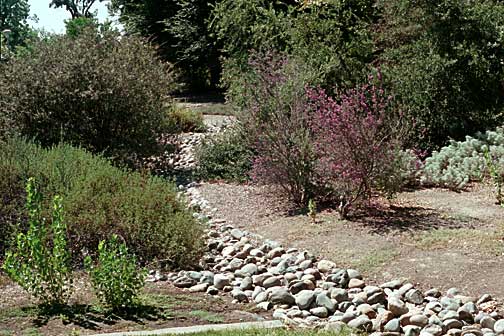 Rocks in Landscape Image