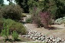 Rocks in Landscape Image