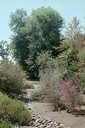 Rocks in Vertical Image