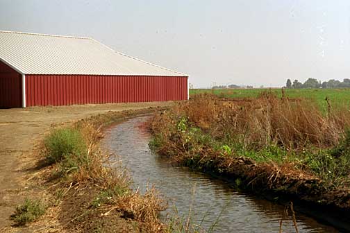 Irrigation Water