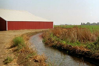 Irrigation Water