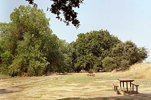 Picnic Tables near Putah Creek