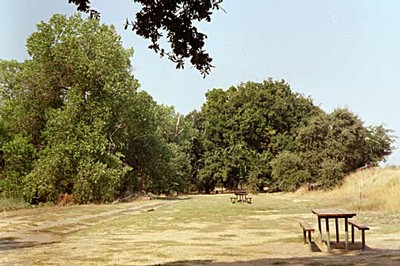 Picnic Tables near Putah Creek