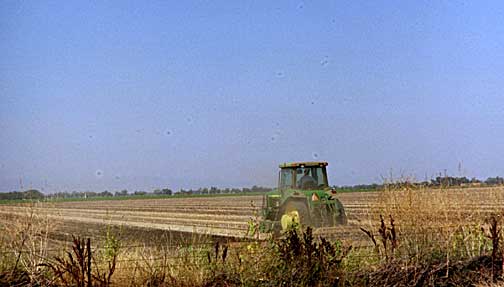 Tractor in Yolo County Field