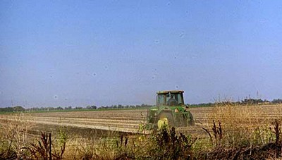 Tractor in Yolo County Field