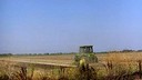 Tractor in Yolo County Field