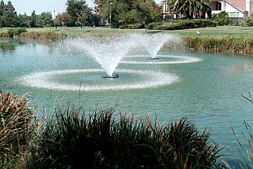 Fountains