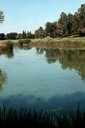 Northstar Park Pond