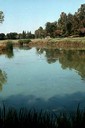 Northstar Park Pond