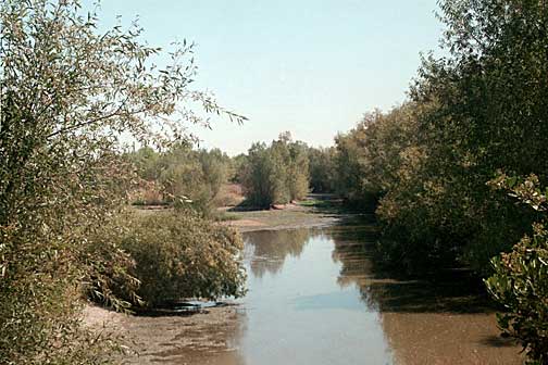 North Area Pond