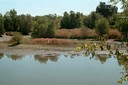 North Area Pond View 