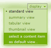 Display Options Drop-Down